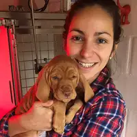 Dierenarts Elisabeth Bonte